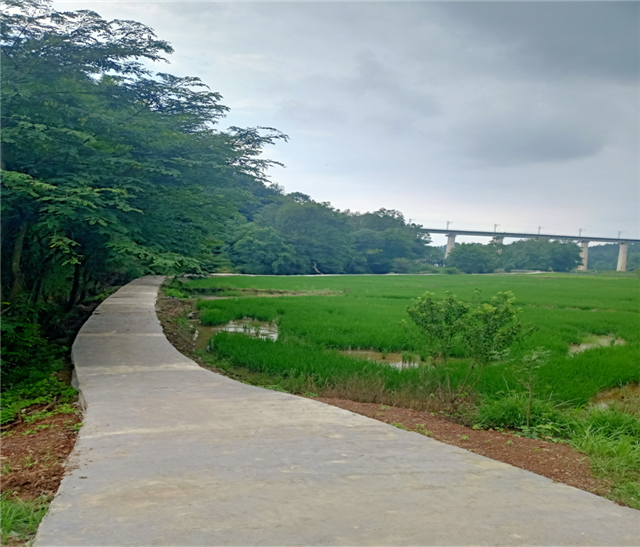 希望把河邊一條長約1200米的河堤道路硬化,建成一條遊步道,這樣大家