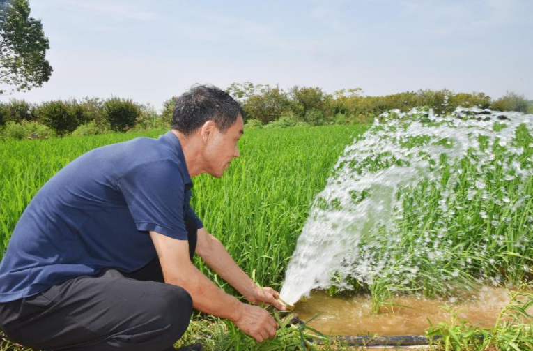 图集丨浏阳永安镇：抗旱一线，“暑”你最美