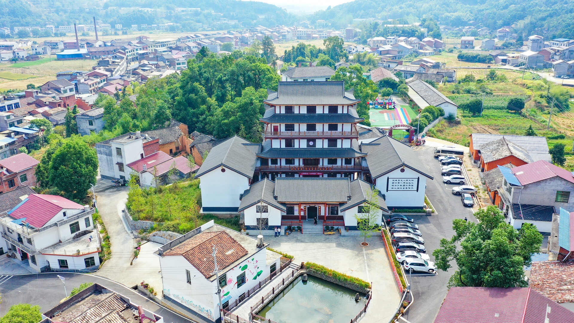 杨花杨花自在飞