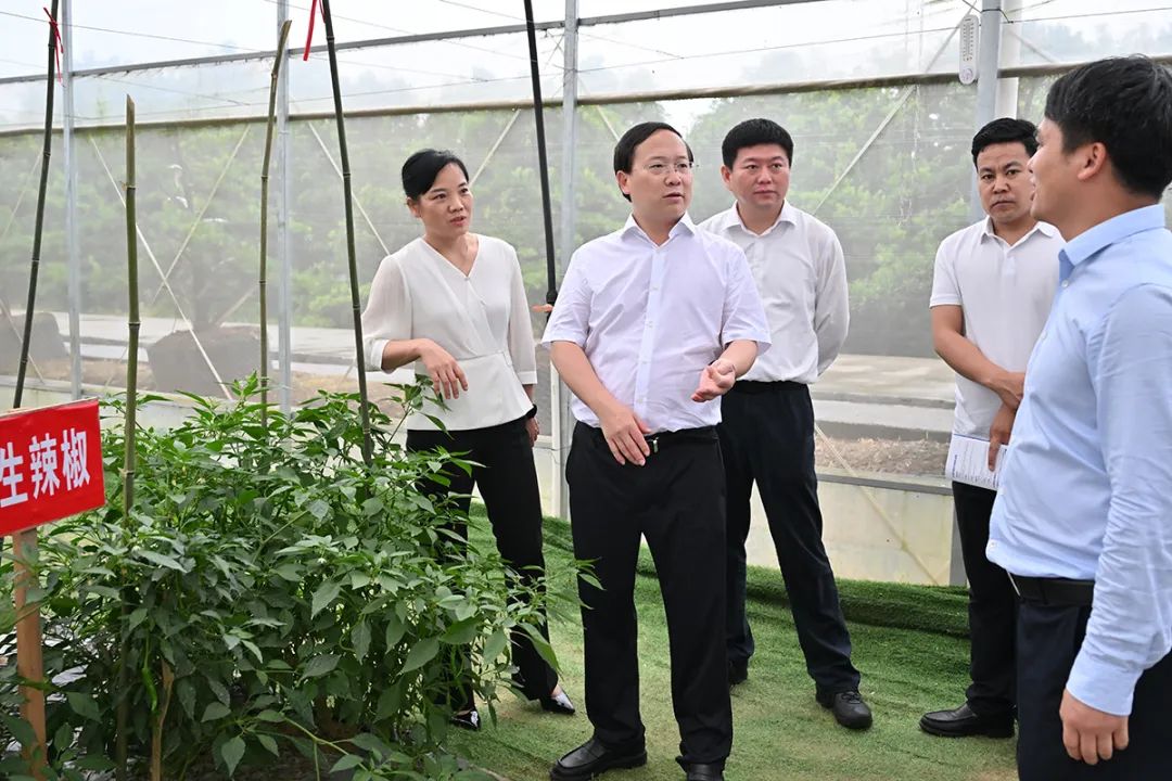 肖正波专题调研浏阳西区高质量发展时强调 聚焦强镇富市 做足特色文章 彰显“五个更大作为”