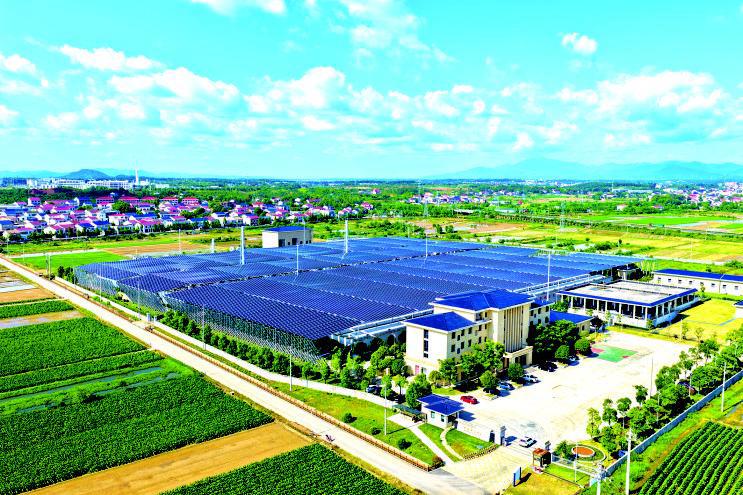 打好治水“组合拳”，守护水清岸绿生态画卷