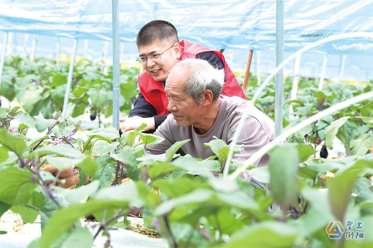 浏阳关口街道炭棚村：近郊种下特色菜，带火田园游