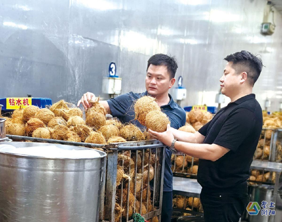 【天下浏商】“85后”浏商陈和蛟：深耕健康饮品赛道，把一只椰子“吃干榨尽”